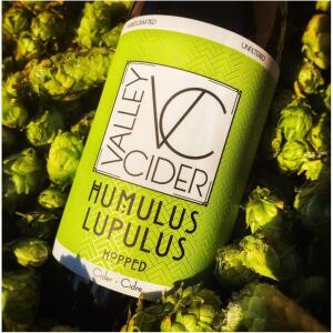 Valley Cider - <em>Humulus Lupulus</em>