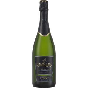Steller's Jay - <em>Mountain Jay Brut</em>