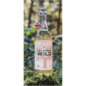 Salt Spring Wild - <em>Hopped Apricot Cider</em>