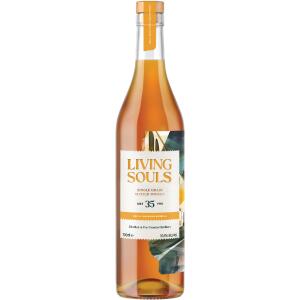 Port Dundas - Living Souls 35 Year